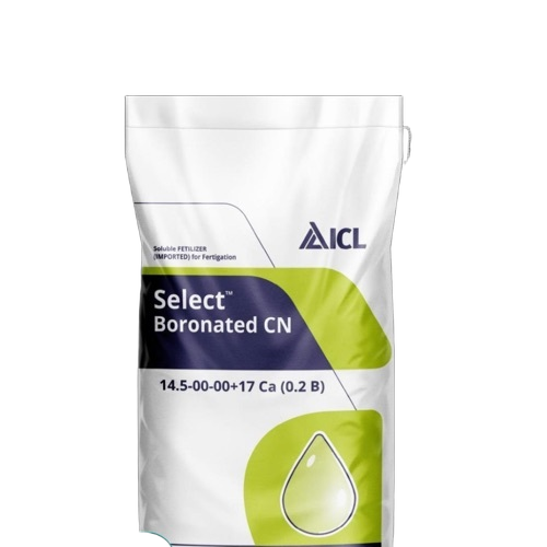 Potassium Nitrate Fertilizers