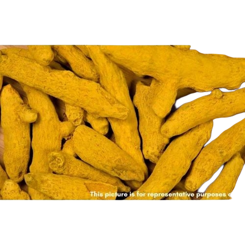 Dry Turmeric Finger