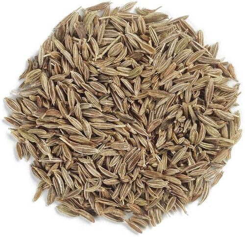 Cumin Seed
