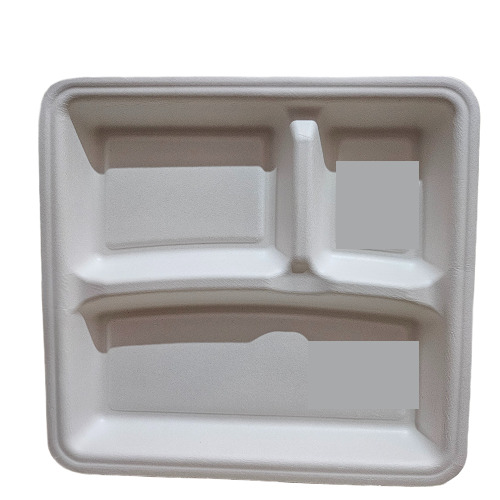 Sugarcane Bagasse Compartment Square Plates and Trays
