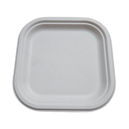 Sugarcane Bagasse Square Plates