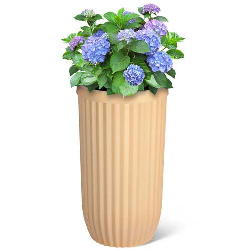 Ceramic Big Flower Pot