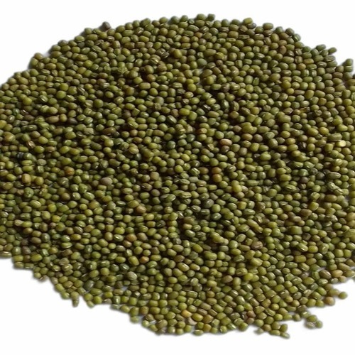 Moong Seeds