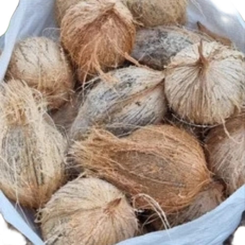 Semi Husked Coconut