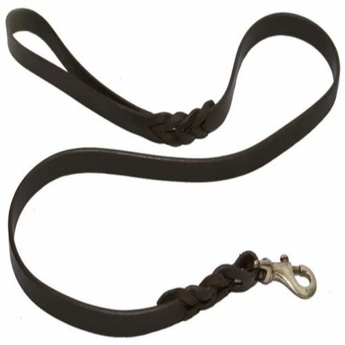 Dog Leash