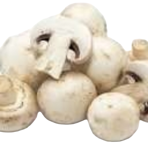 White Mushroom