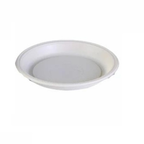 10inch Bagasee Disposable Plate