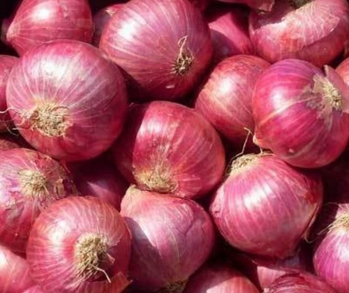 Red Onion