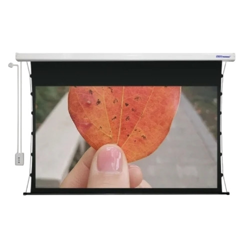 Motorized Projection Screen