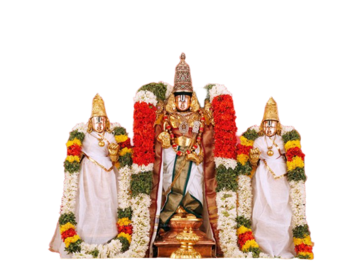 Sri Per Arulaalan Perumal Temple Tour Services