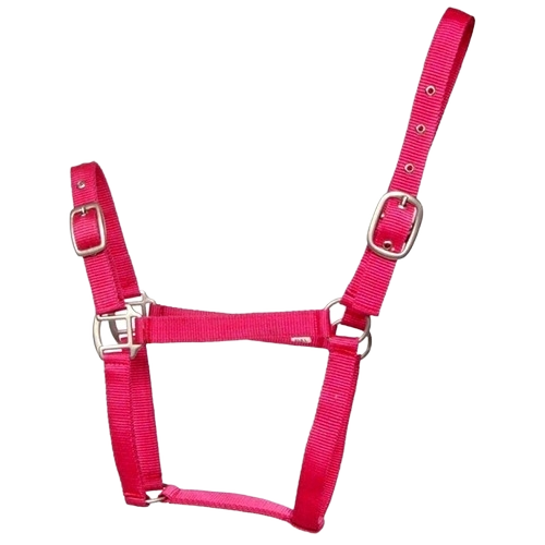 Nylon Halters