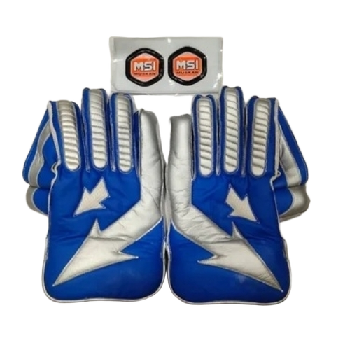 Blue And White Wicket Keeping Gloves