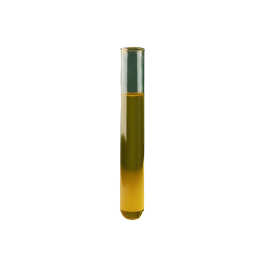 Taxus Brevifolia Extract Oil - Purity: 99.9