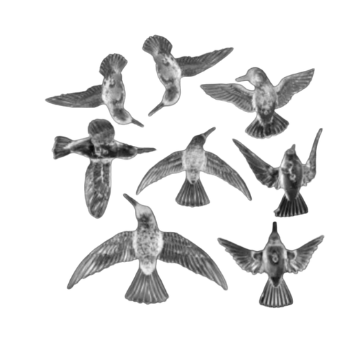 Acrylic Birds - Usage: Decorative