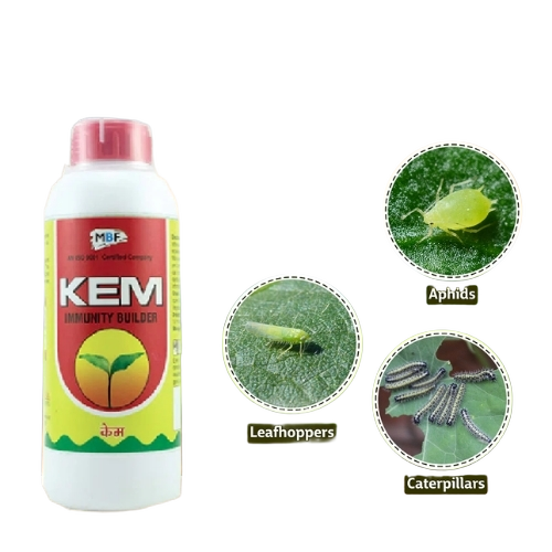 Agriculture Insecticides
