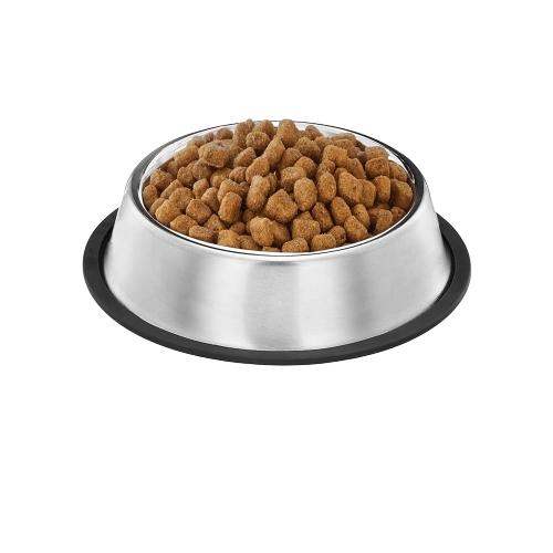Dog Food Bowl