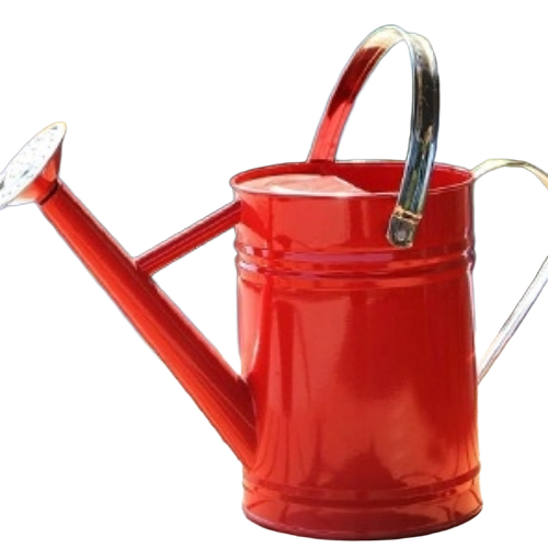 Metal Watering Can