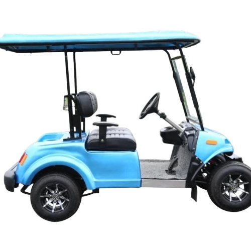 2 Seater Electric Golf Buggy With Lithium Lfp Battery