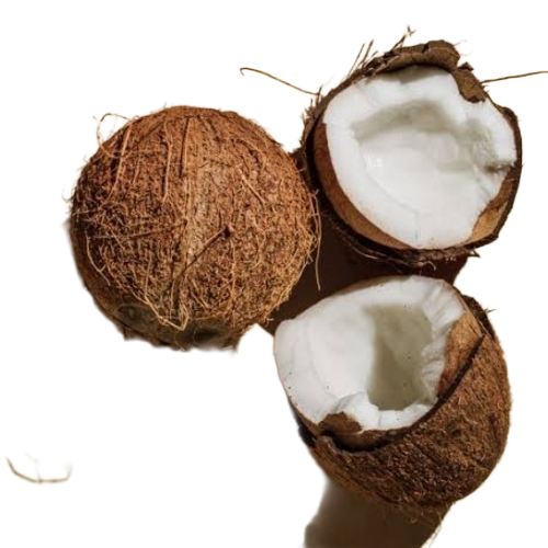 Old Coconut