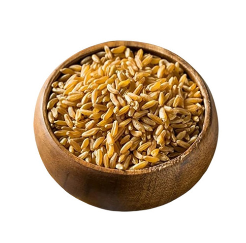 Organic Wheat Grain