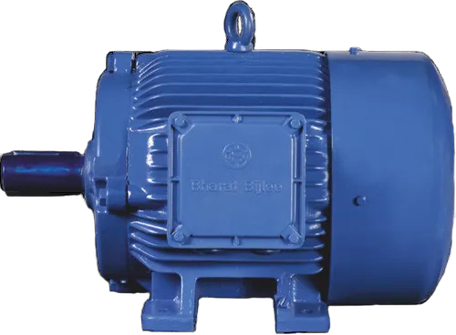 Crane Duty Motor - Application: Specified