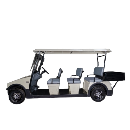 Electric Golf Buggy