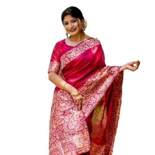 Ladies Designer Sarees