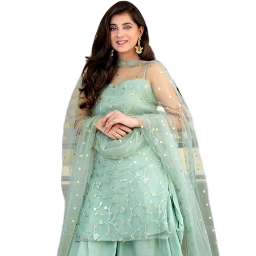 Ladies Punjabi Suits