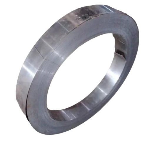 Stainless Steel Strips