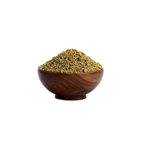 Dry Coriander Seed