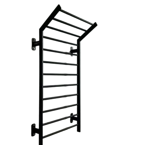 Gymnastics & Aerobics