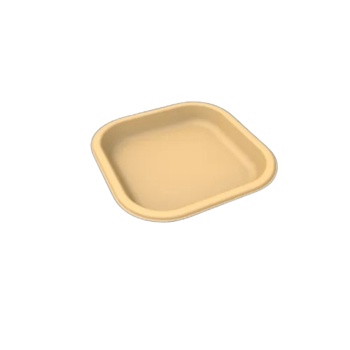 Sugarcane Bagasse Disposable Plates