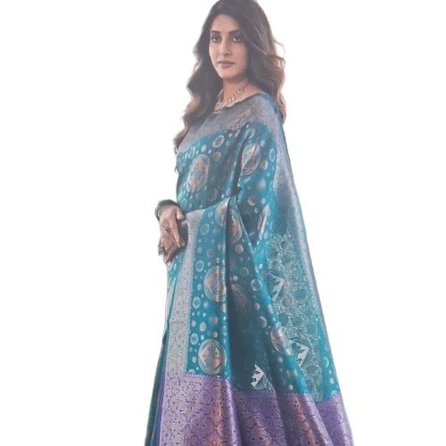 Ladies Saree