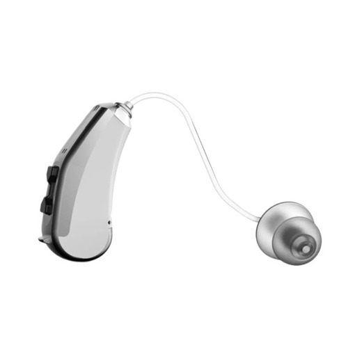 Digital Hearing Aids