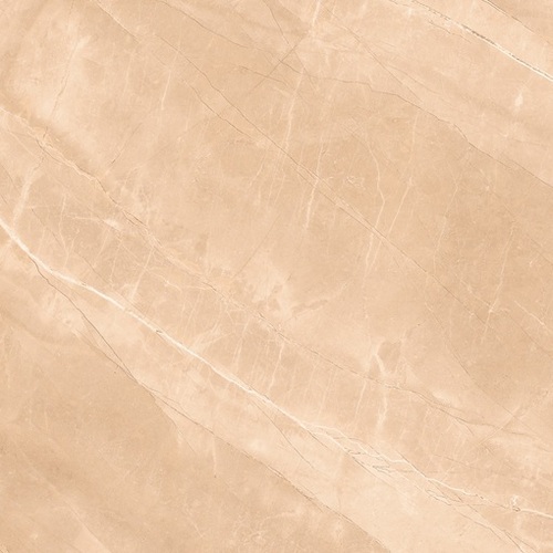 Polished Floor Tiles