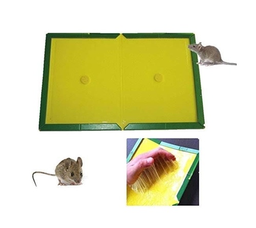 Disposable Mouse Glue Trap