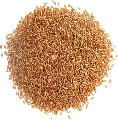 Food Grains