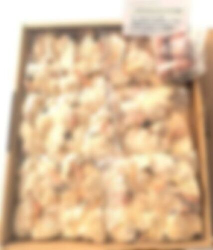 Frozen Chicken By Harp Traders