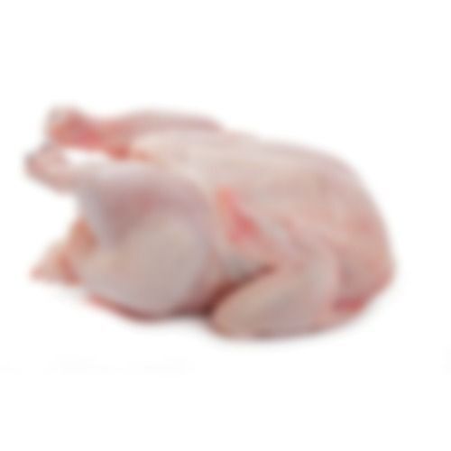Frozen Meat - Feature: Caffeinated