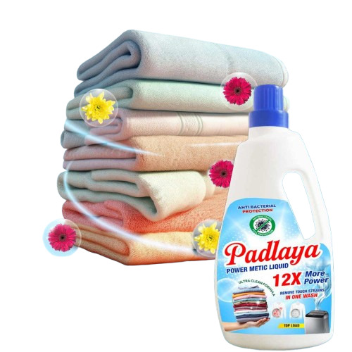 Padlaya 3 In 1 Action Fresh Liquid Detergent (1 L) - Color: Blue