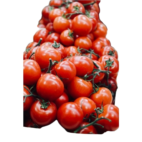 Fresh Tomatoes