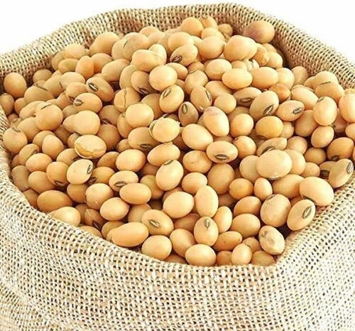 Soyabean Seed