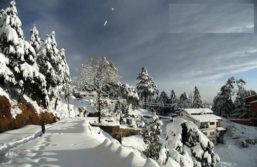 Mukteshwar Tour Package 2n 3d