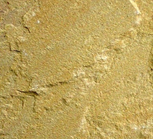 Lalitpur Sandstone