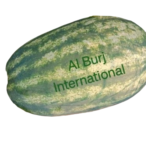 A Grade Fresh Watermelon