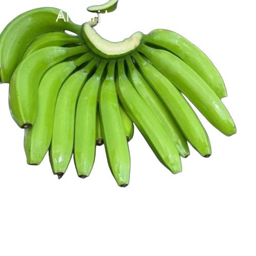 A Grade G9 Banana