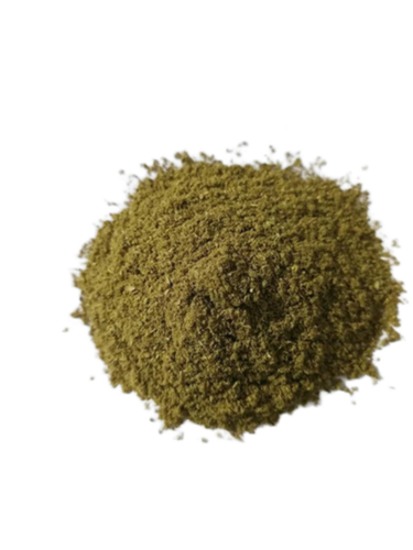 Coriander Powder - Color: Green