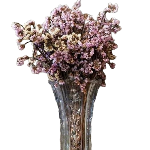 Dried Limonium Flowers