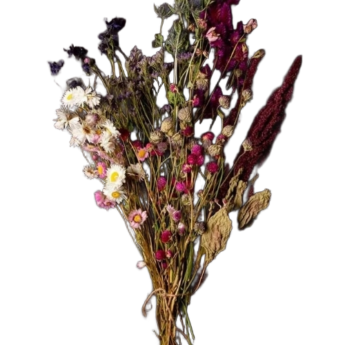 Bloom And Wild Arrange Dried Flowers