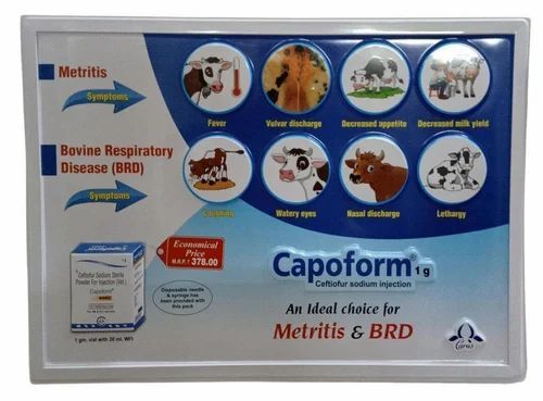 Pvc Rectangle 3d Embossed Advertising Poster